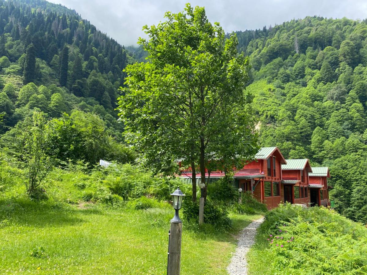 Ayder Villa Gencal Экстерьер фото