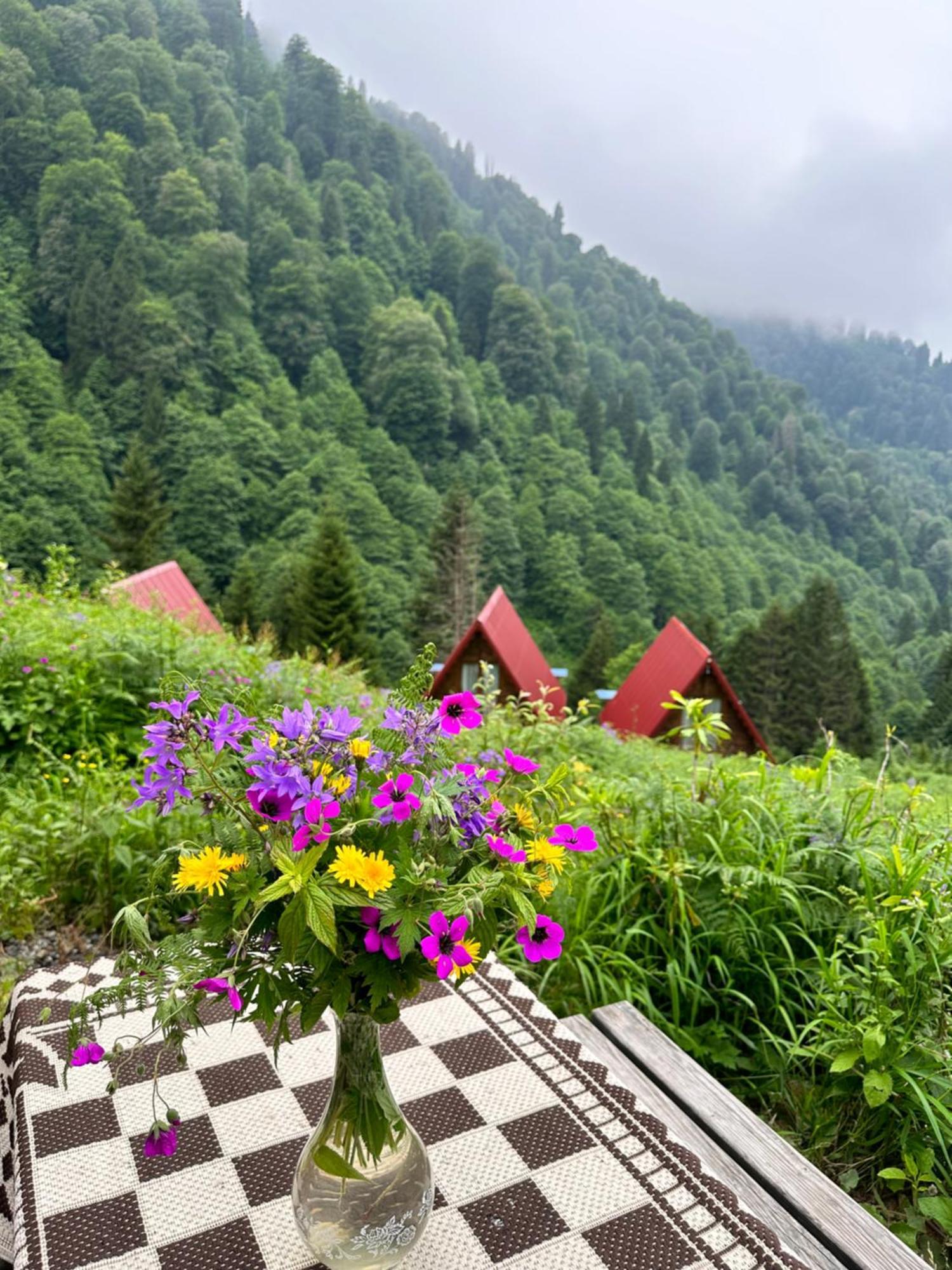 Ayder Villa Gencal Экстерьер фото