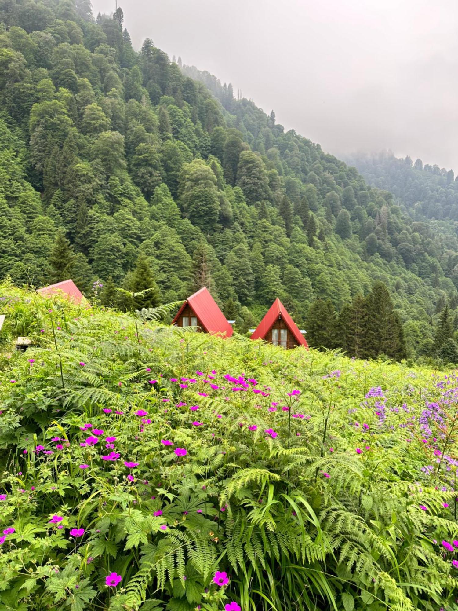 Ayder Villa Gencal Экстерьер фото