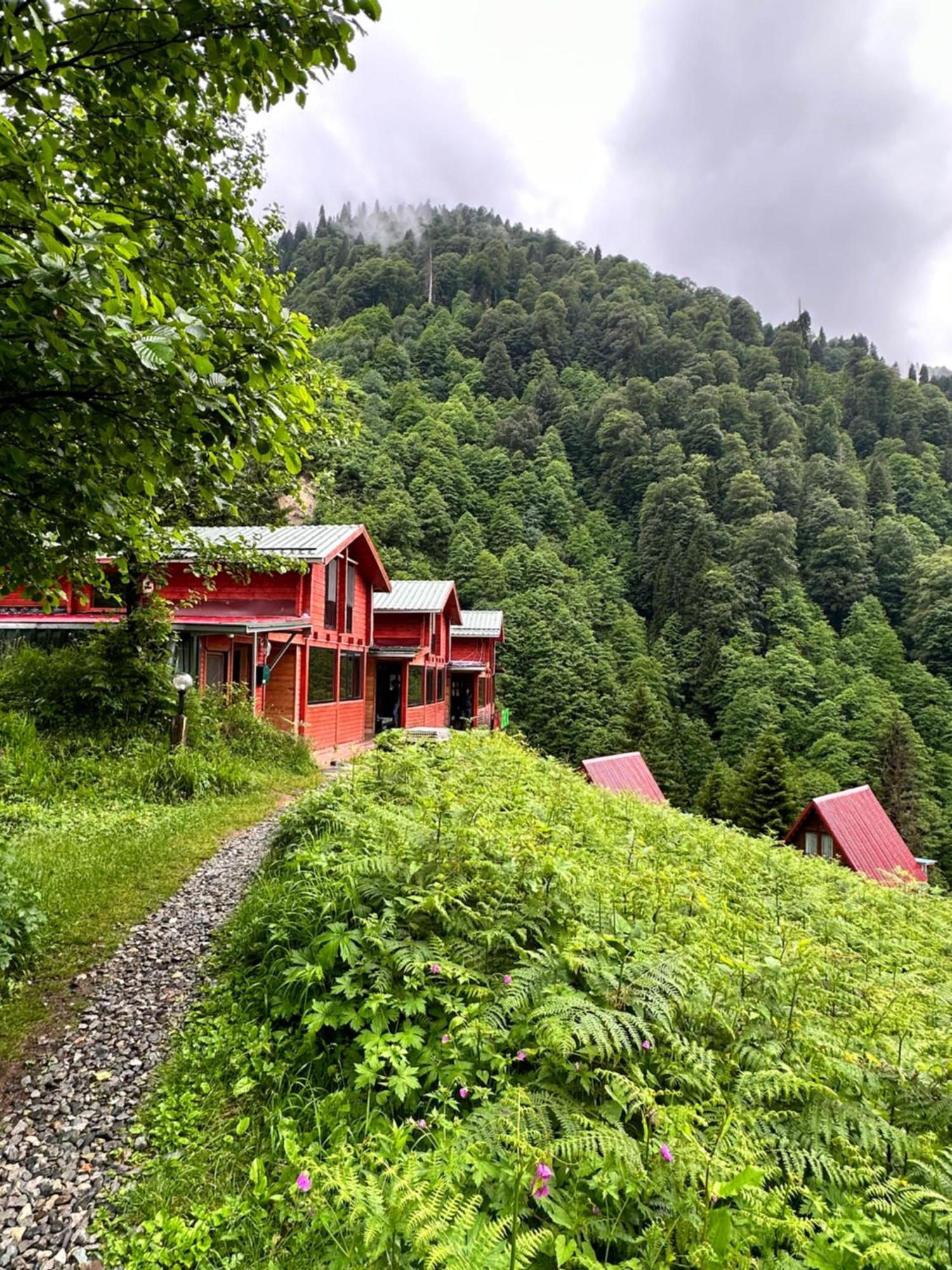 Ayder Villa Gencal Экстерьер фото
