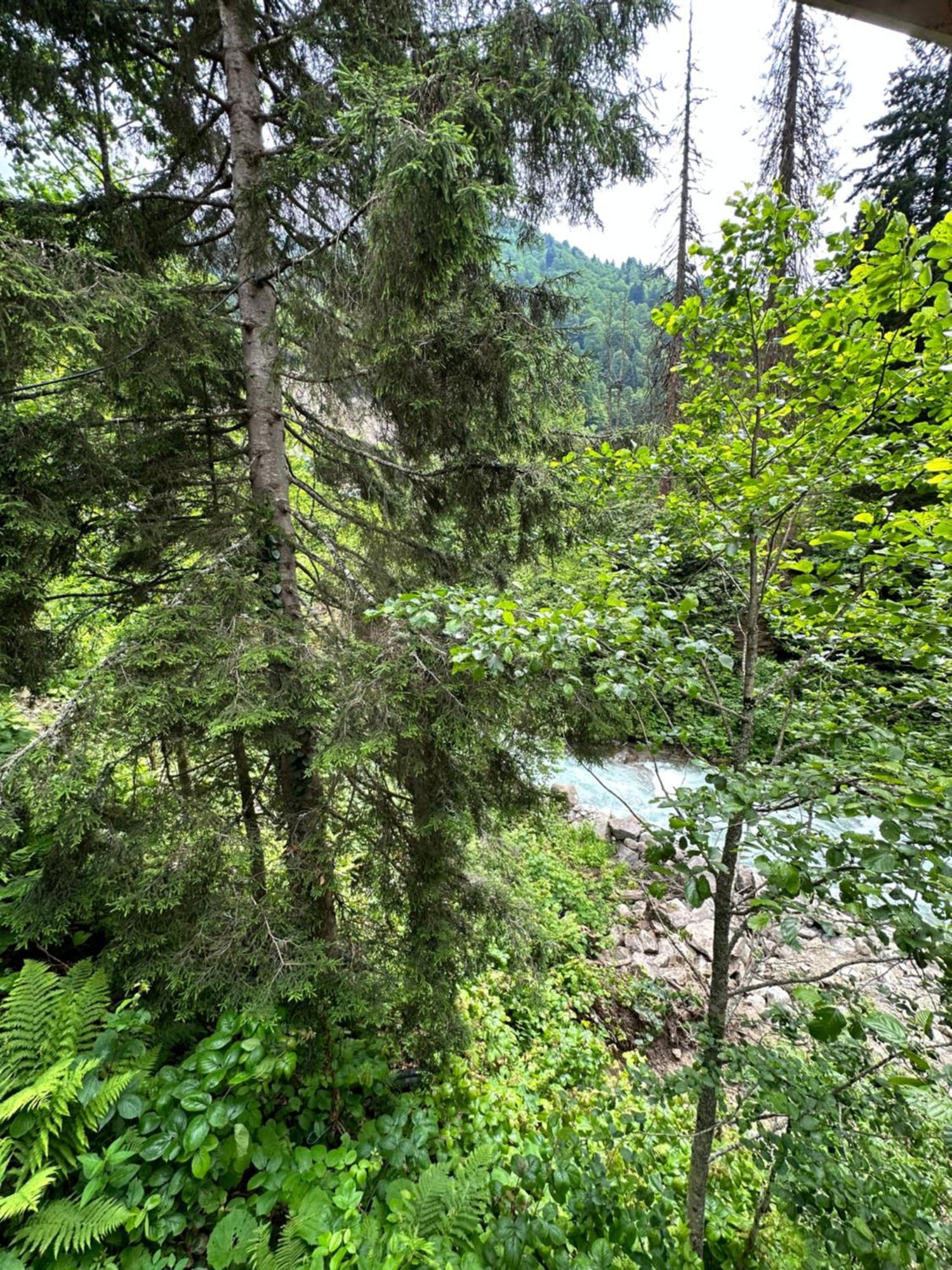 Ayder Villa Gencal Экстерьер фото