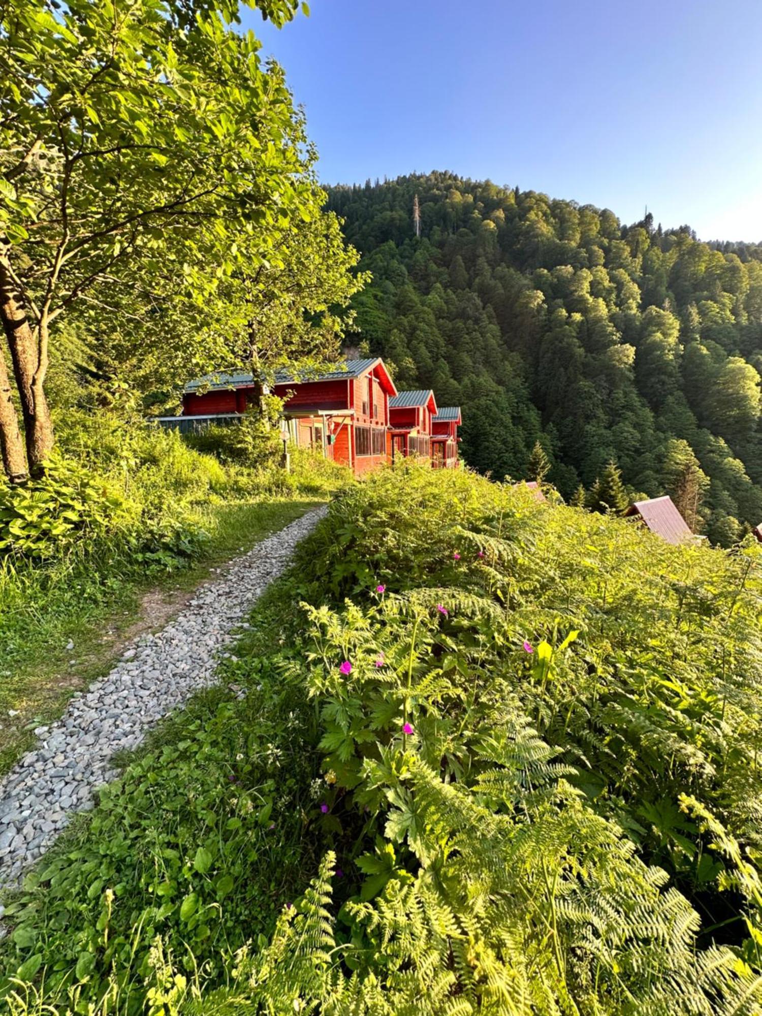 Ayder Villa Gencal Экстерьер фото